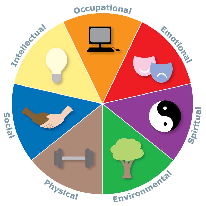 Pie Chart of Wellness